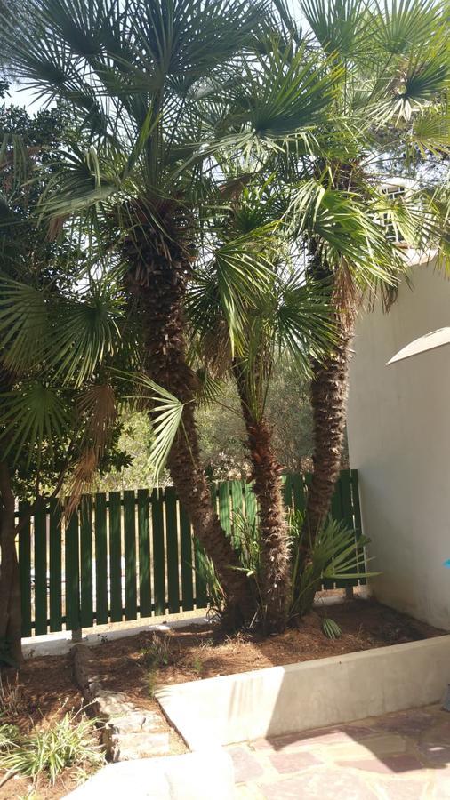 Villa Chabola Denia Zewnętrze zdjęcie